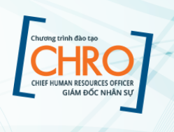 CHRO: CHIEF HUMAN RESOURCES OFFICER  (GI&Aacute;M ĐỐC NH&Acirc;N SỰ)