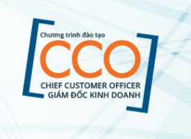 CCO: CHIEF CUSTUMER OFFICER (GI&Aacute;M ĐỐC KINH DOANH)